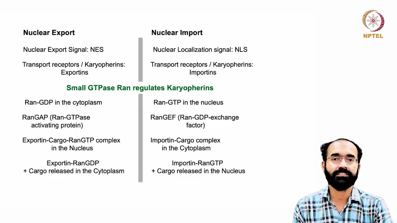 snRNA, rRNA, miRNA, siRNA Processing, Export and Function_ Nucleo Cytoplasmic Transport#swayamprabha