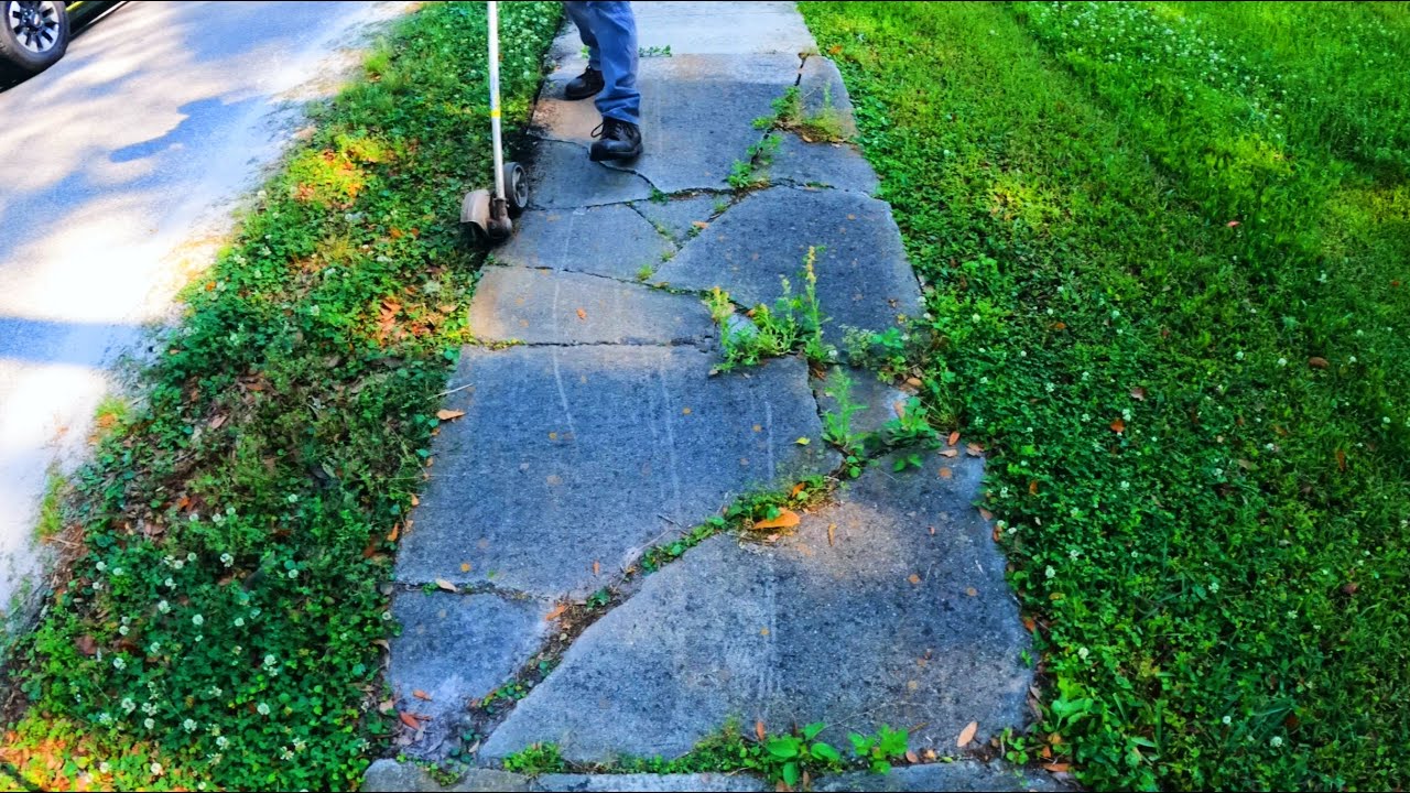 Quick $65 For Yard With Messy Sidewalk Lawn Care Clean-Up