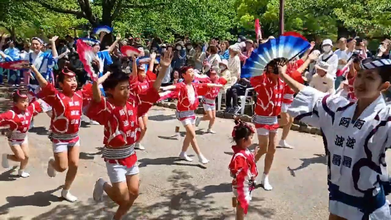 【徳島城阿波踊り】阿波扇連は華やかな扇を持って踊るのが特徴です