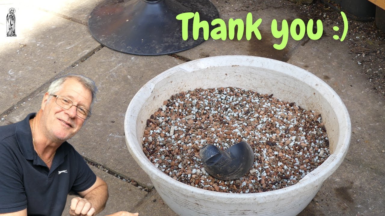 My LATEST Bonsai Soil Mix - ALL thanks to YOU :)