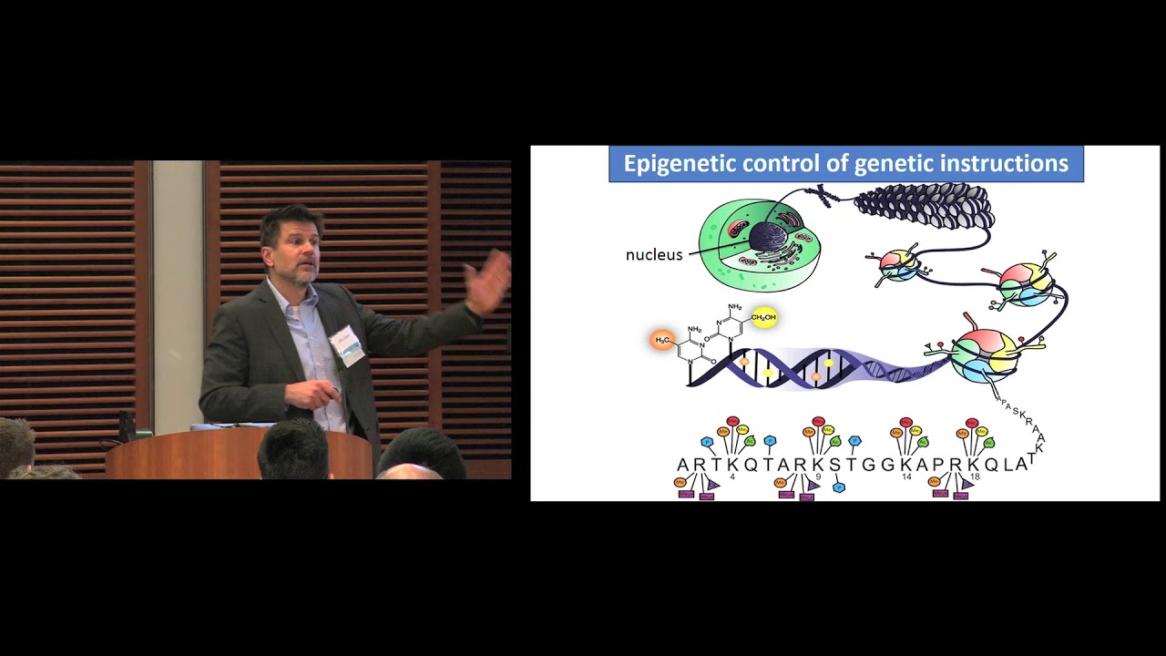 Metabolic and Epigenetic Alterations During Aging