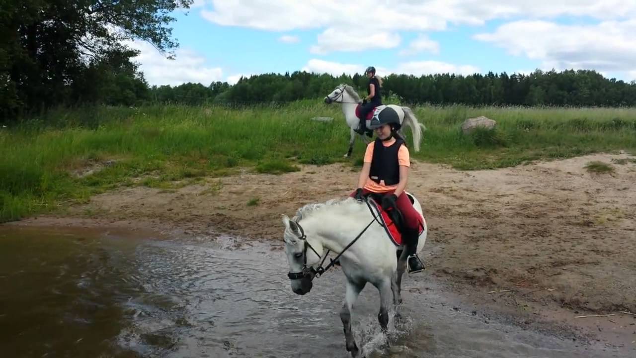 h&auml;stbad i Kolb&auml;cks&aring;n