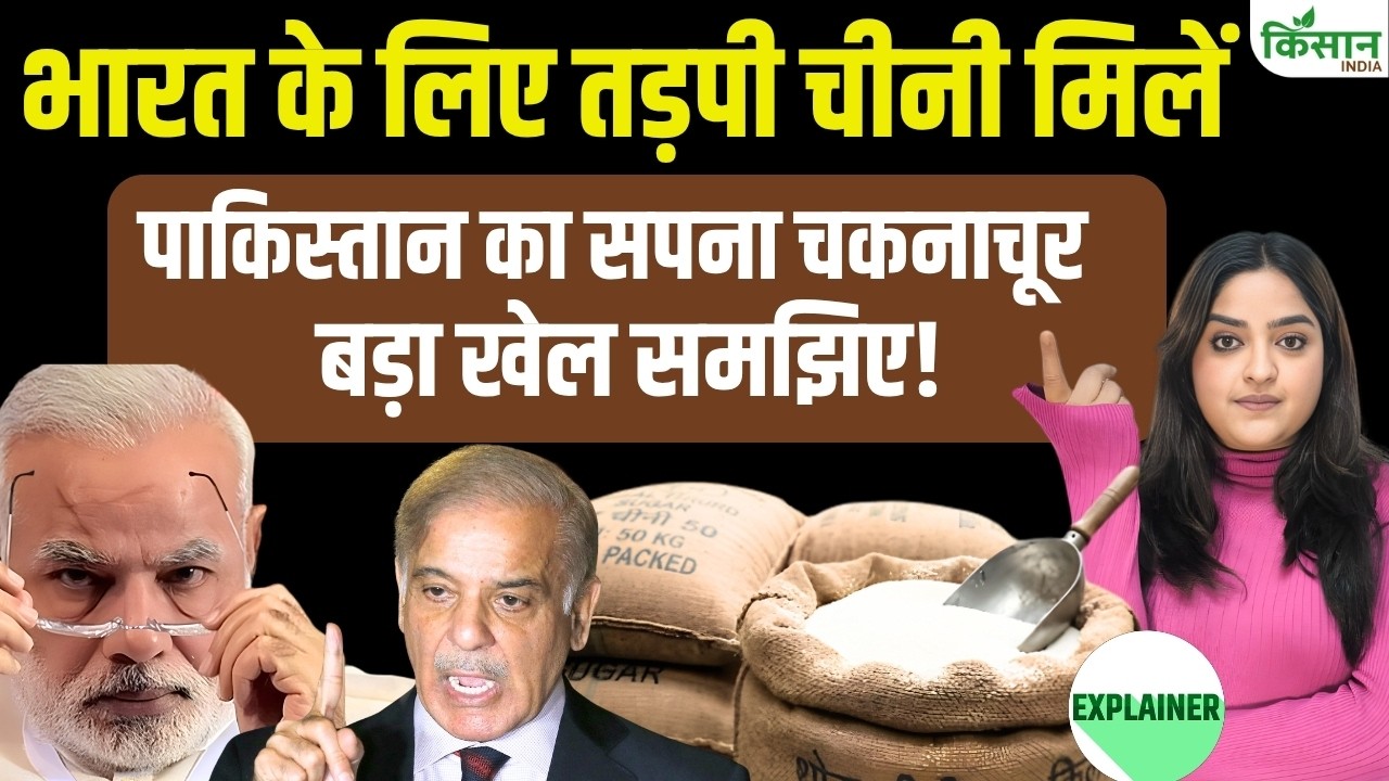 Sugar Price Hike: Why did India reject Pakistan's sugar? Pak's dream shattered, here is the update