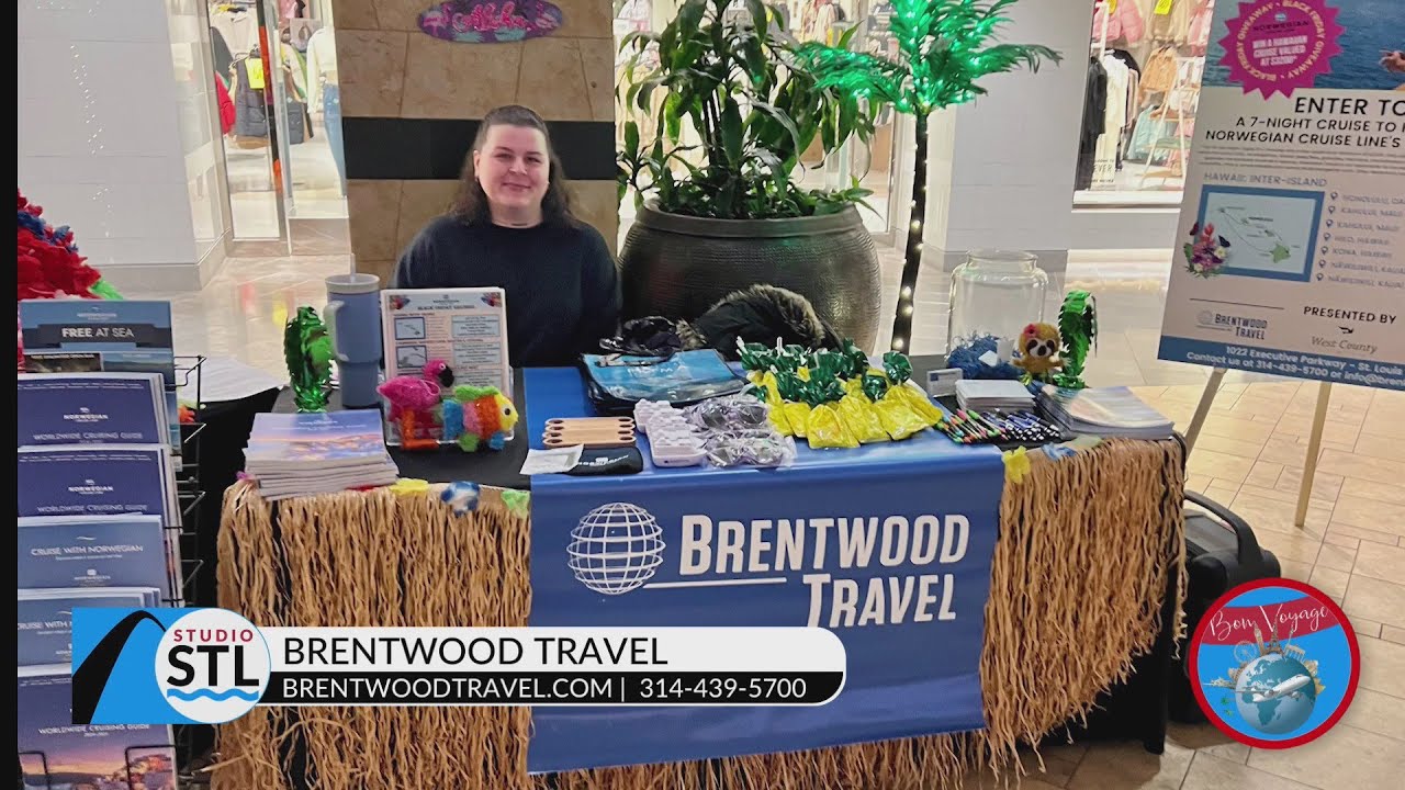 Trust Brentwood Travel With Your Family’s Travel Plans