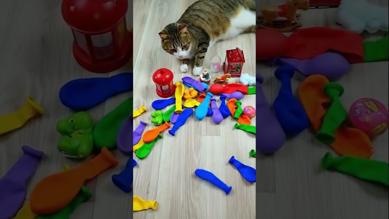 🐱❤️ Cat Barsik Playing with Love Cubes & Colorful Beads 📿🌈 | Satisfying Reverse Video ✨