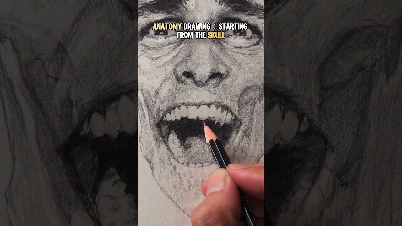 ANATOMY DRAWING: STARTING FROM THE SKULL#anatomy #art #sketch