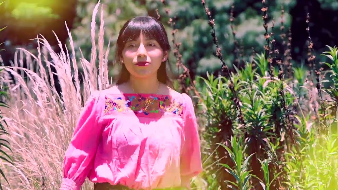 El Andariego - [Video Official] Corazón Mixteco