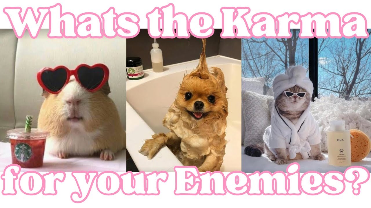 What is your enemies karma?🧿⚖️pick a card