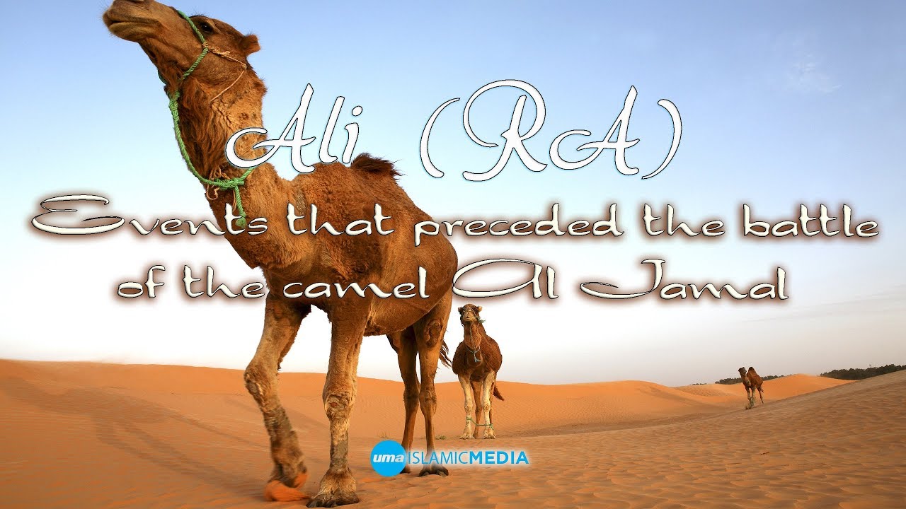 Ali (RA) - Events that preceded the battle of the camel Al Jamal by Sheikh Abdullah Chaabou