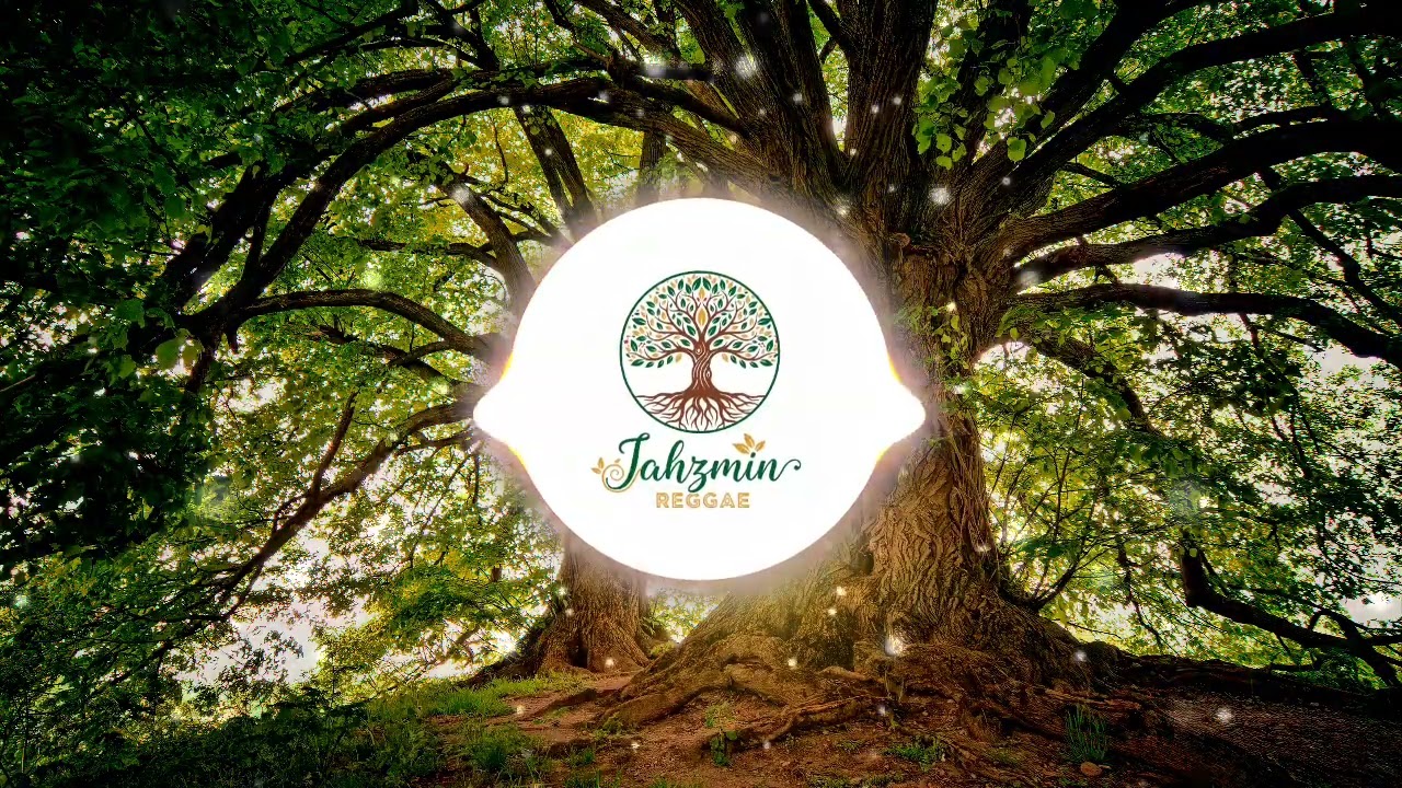 Jardim da Alam | Jahzmin Reggae 2026 Irie Frequenci