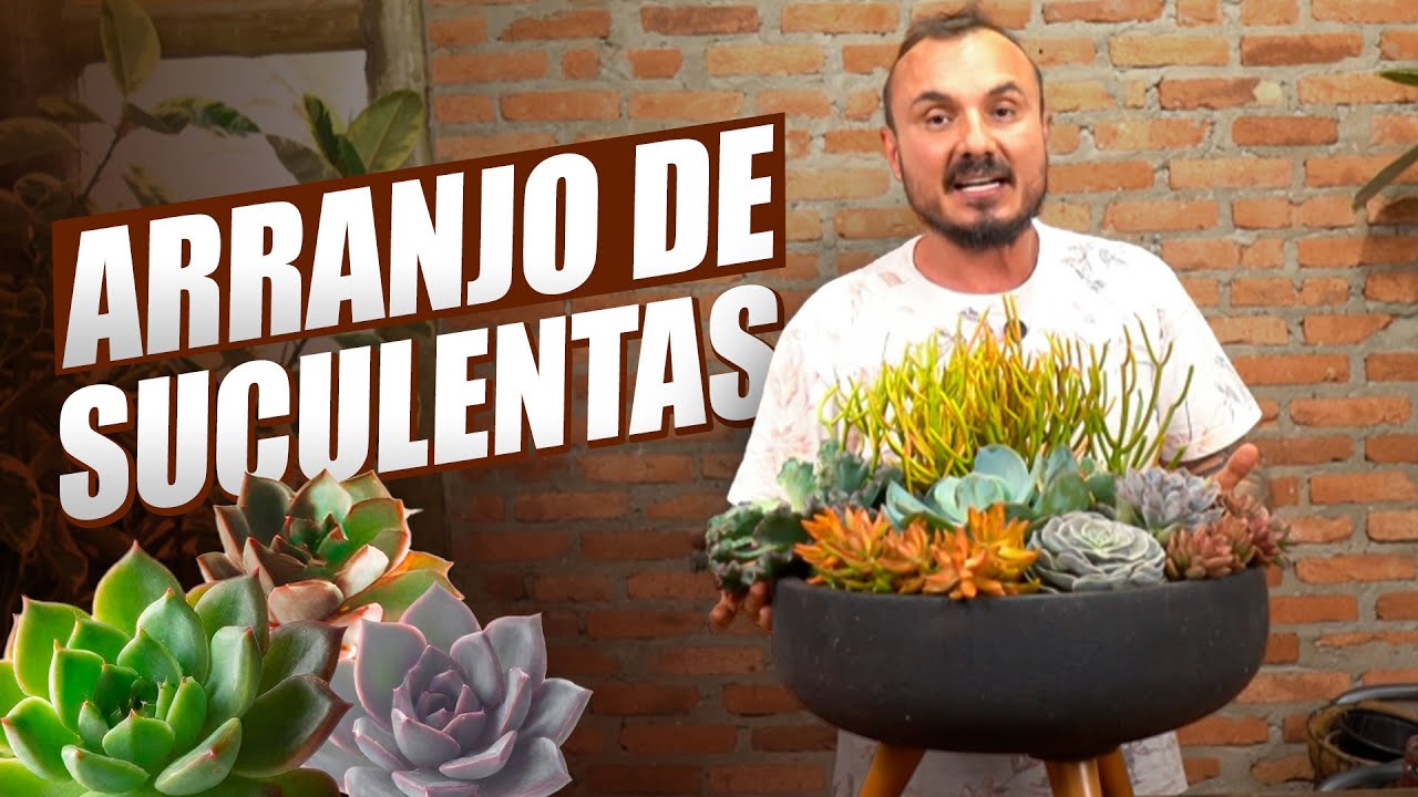 Como fazer ARRANJO DE SUCULENTAS em vaso | Faça você mesmo