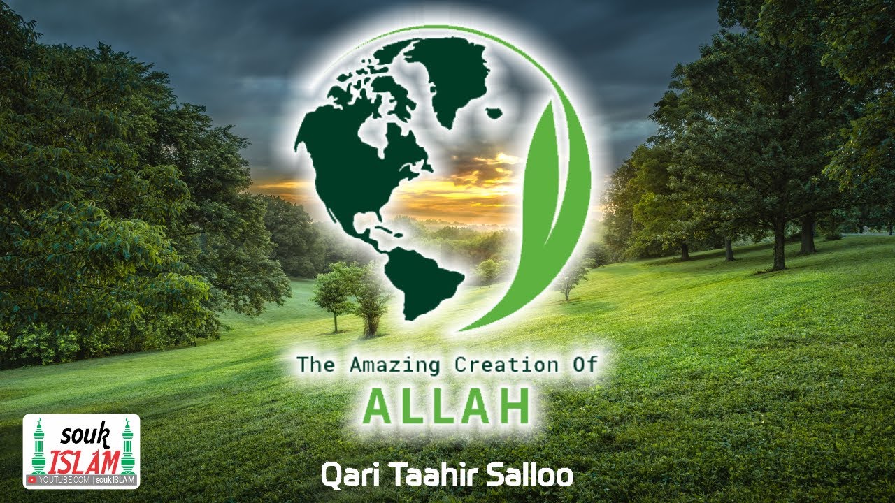 The Amazing Creation Of Allah  | Qari Taahir Salloo