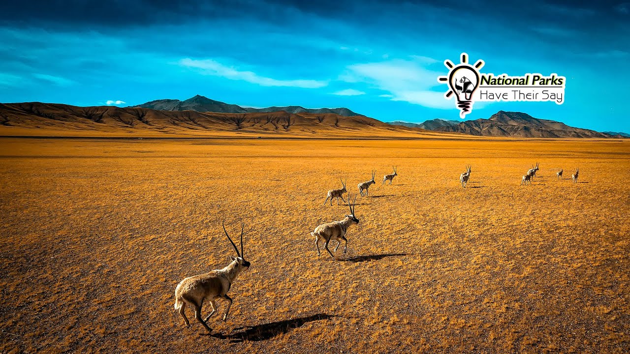 Sanjiangyuan National Park: Our solutions are in nature