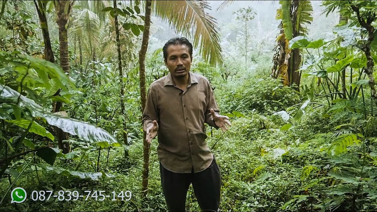 Jual Tanah Murah Seharga 75 Ribu Per Meter Untuk Slow Living Dan Farmaculture Di Bukit Menoreh
