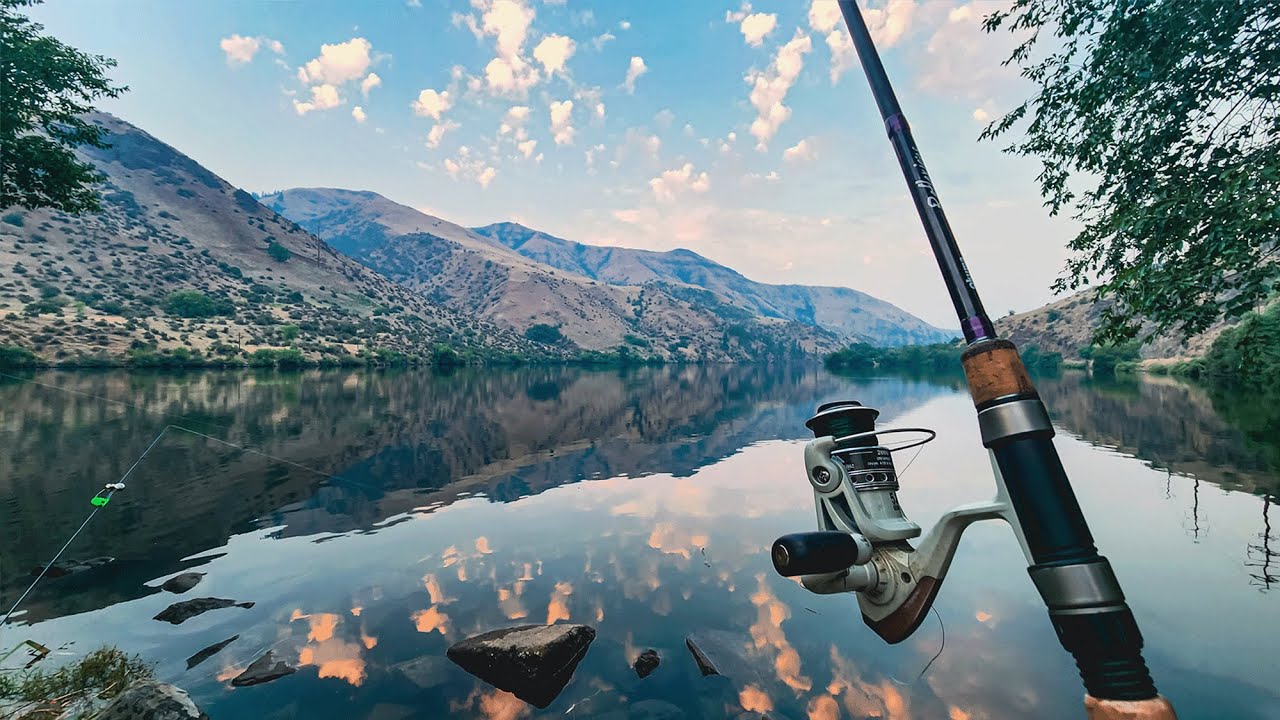 This Beautiful River is STACKED with Catfish! (Camping on the Great Catfish River)