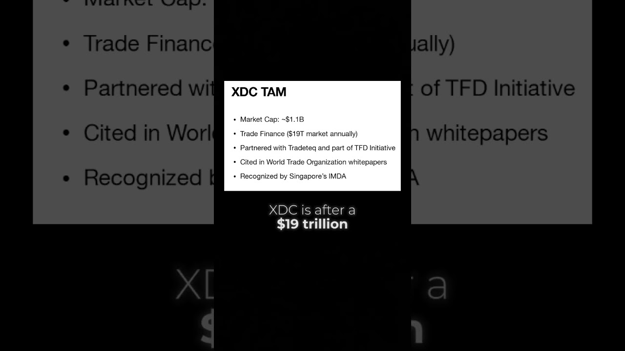 Вложение $1000 в XRP, XLM или XDC: кто победит в 2025 году?