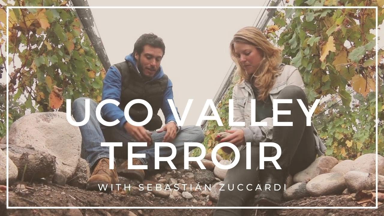 The soils & terroir of Uco Valley with Sebastian Zuccardi