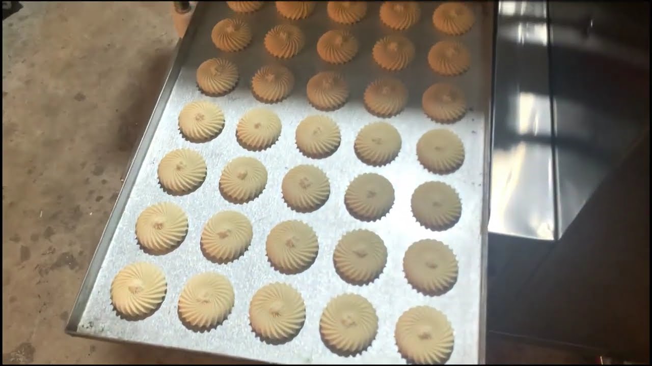 Cookies Dropper with Wire Cut Servo Model  - 5 Nozzle Part-1 ! Arise Equipments India