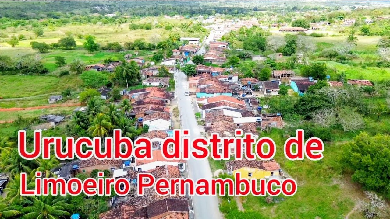 URUCUBA DISTRITO DE LIMOEIRO PERNAMBUCO 