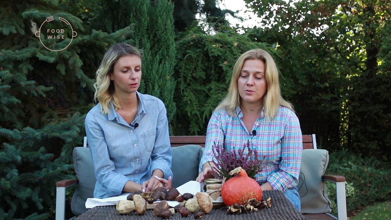 Grzyby - czy są zdrowe ? - mity i fakty | składniki odżywcze grzybów | Foodwise