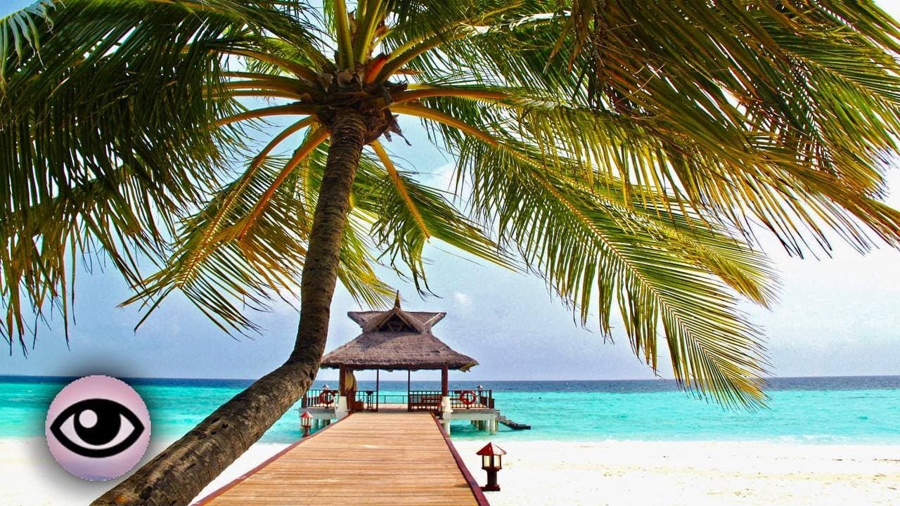 #TropicalVibes 🌴