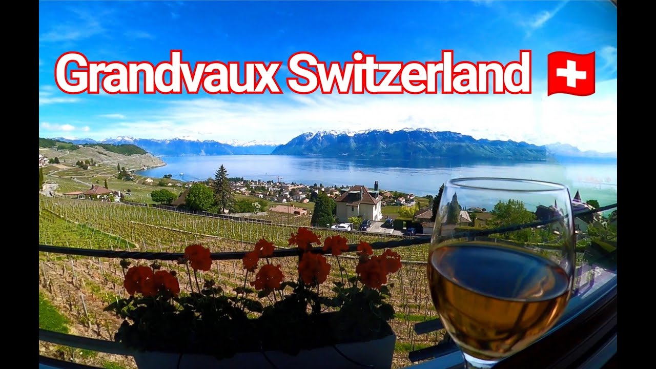 Grandvaux Switzerland 🇨🇭 Gopromax  HD  4K  Beautiful Vineyards Scenery