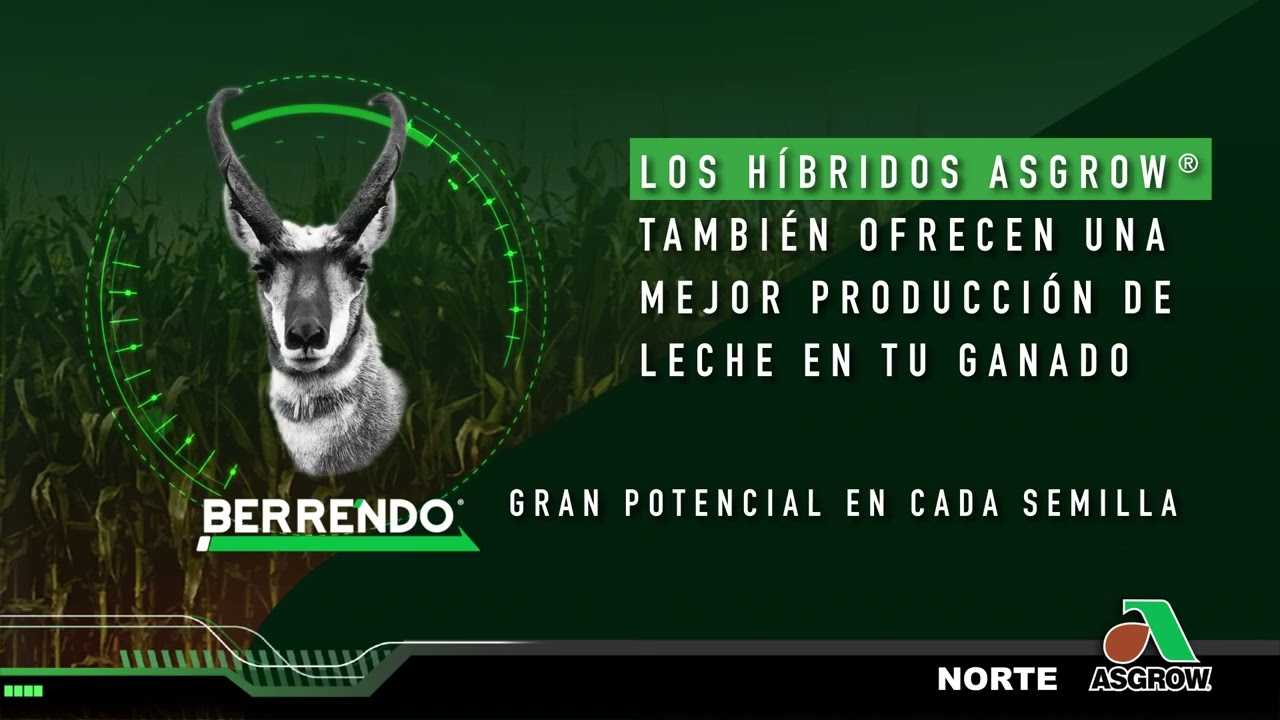 Asgrow&reg; te da alta calidad en forraje.