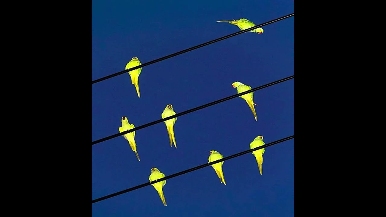 [FREE] Drake x Swae Lee x Jorja Smith Type Beat 