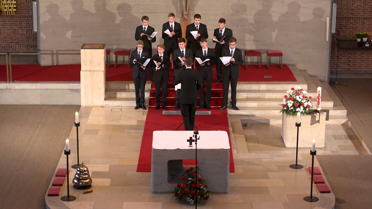 Ecce quomodo moritur (Gallus) | Vocalitas Nova