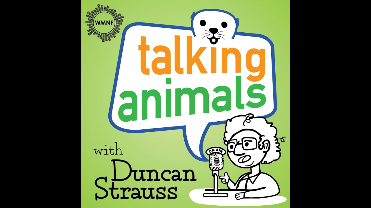 Talking Animals for 02/25/2026
