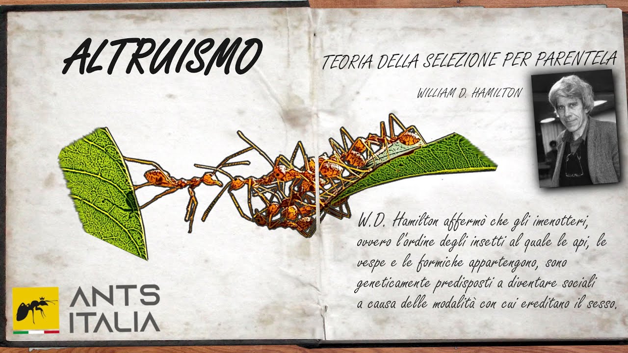 ALTRUISMO - La Chiave dell'Eusocialità delle Formiche