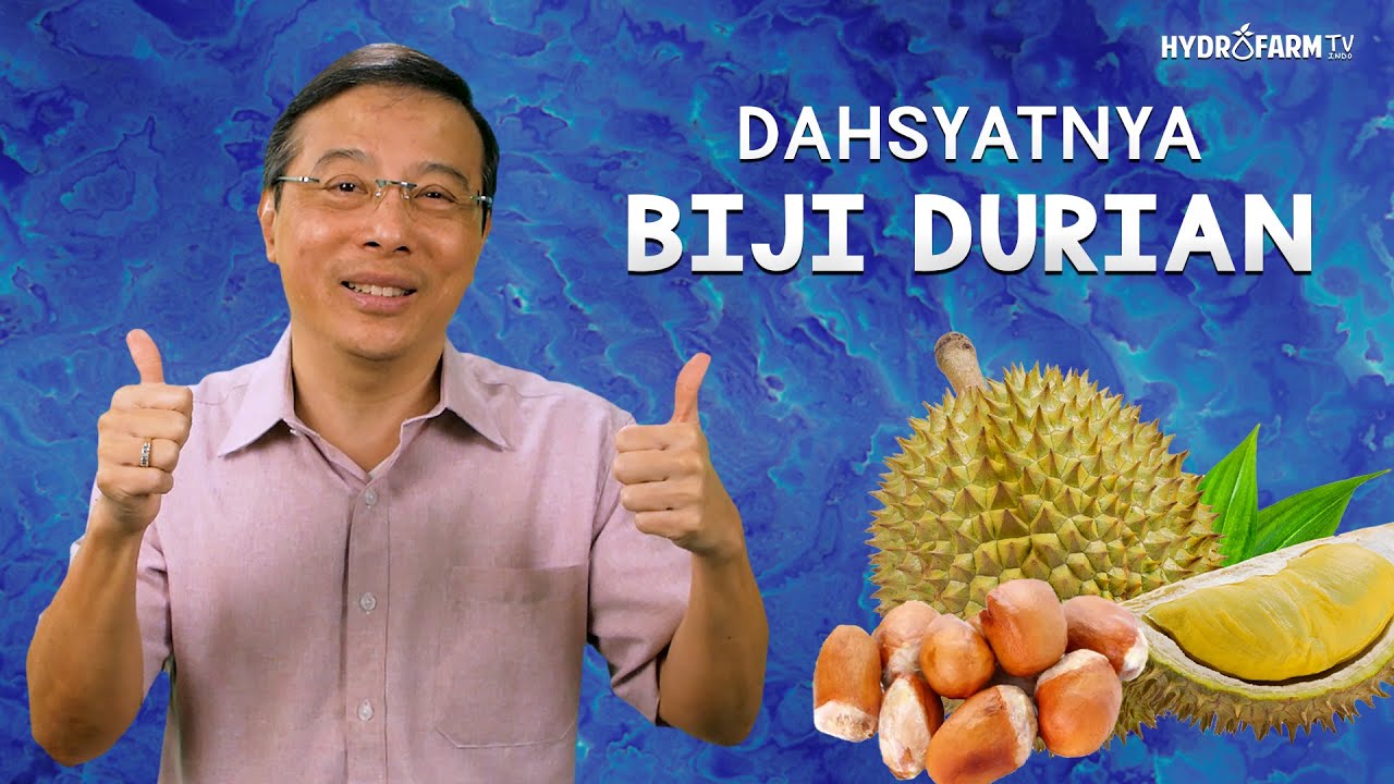 DAHSYATNYA BIJI DURIAN !!