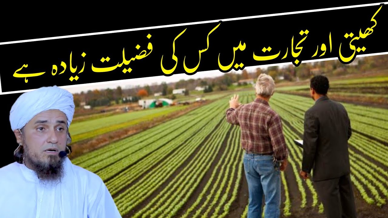 Что имеет больше преимуществ: земледелие или торговля? | Муфтий Тарик Масуд | @islamicResearchAbd...