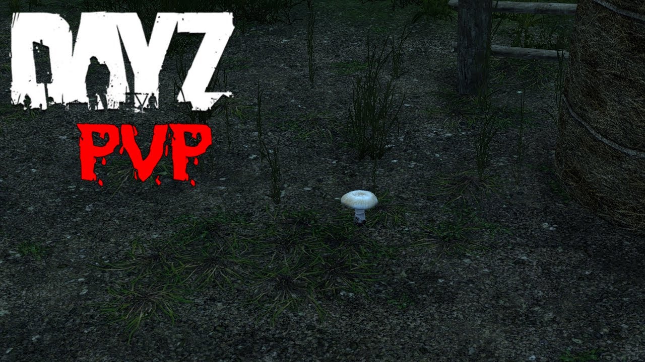 DayZ PVP #025 - Official Server Enoch/Livonia Map - Pilze Spawn Gut Zu Wissen ​- German Deutsch