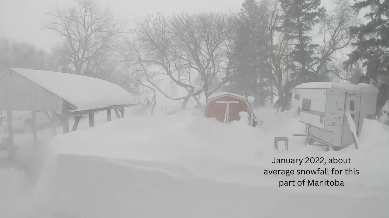 January 2022 Snowstorm in the backyard