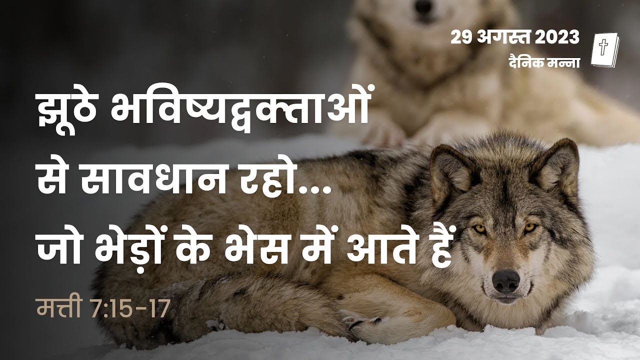 मत्ती 7:15-17 | झूठे भविष्यद्वक्‍ताओं से सावधान रहो, जो भेड़ों के भेस में आते हैं | दैनिक मन्ना