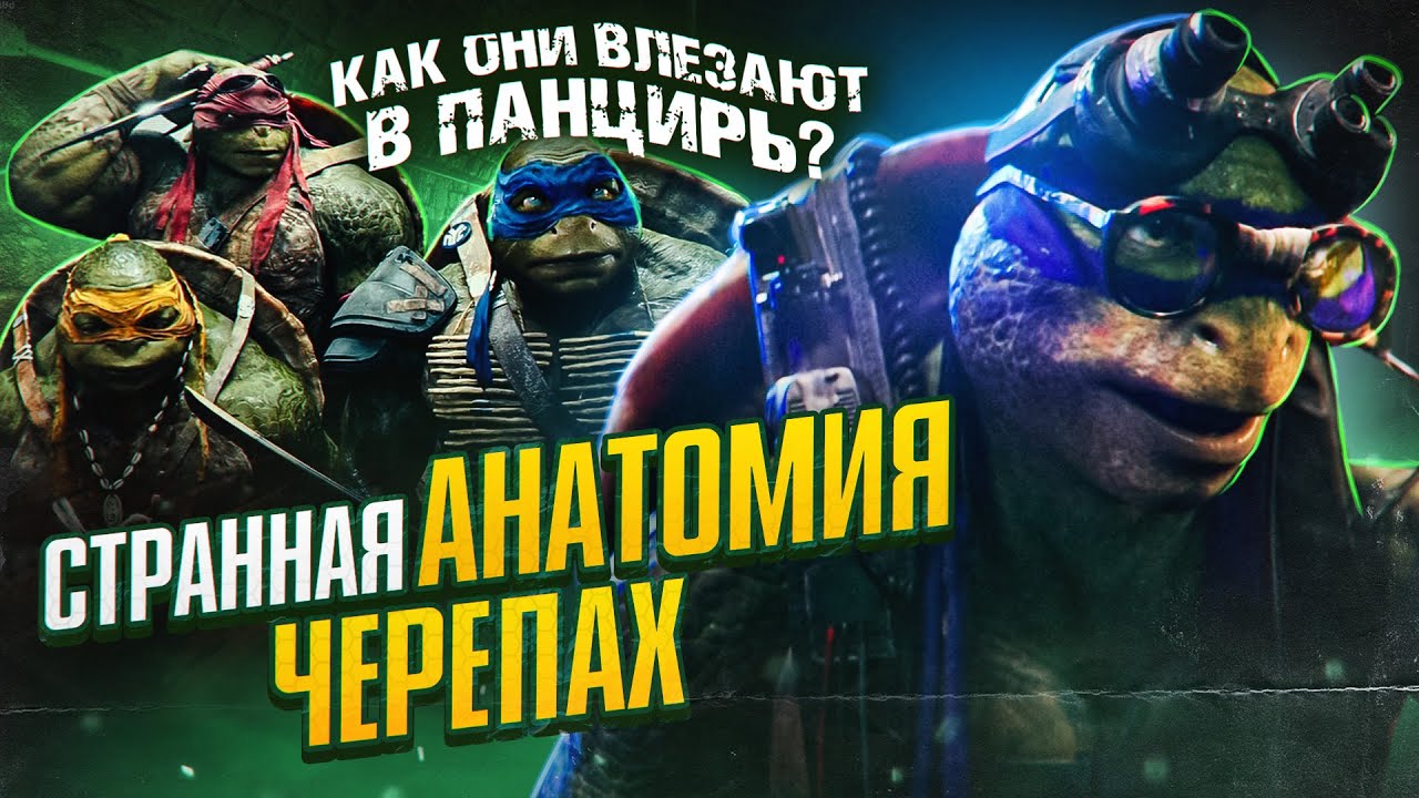 Странная анатомия Черепашек-ниндзя