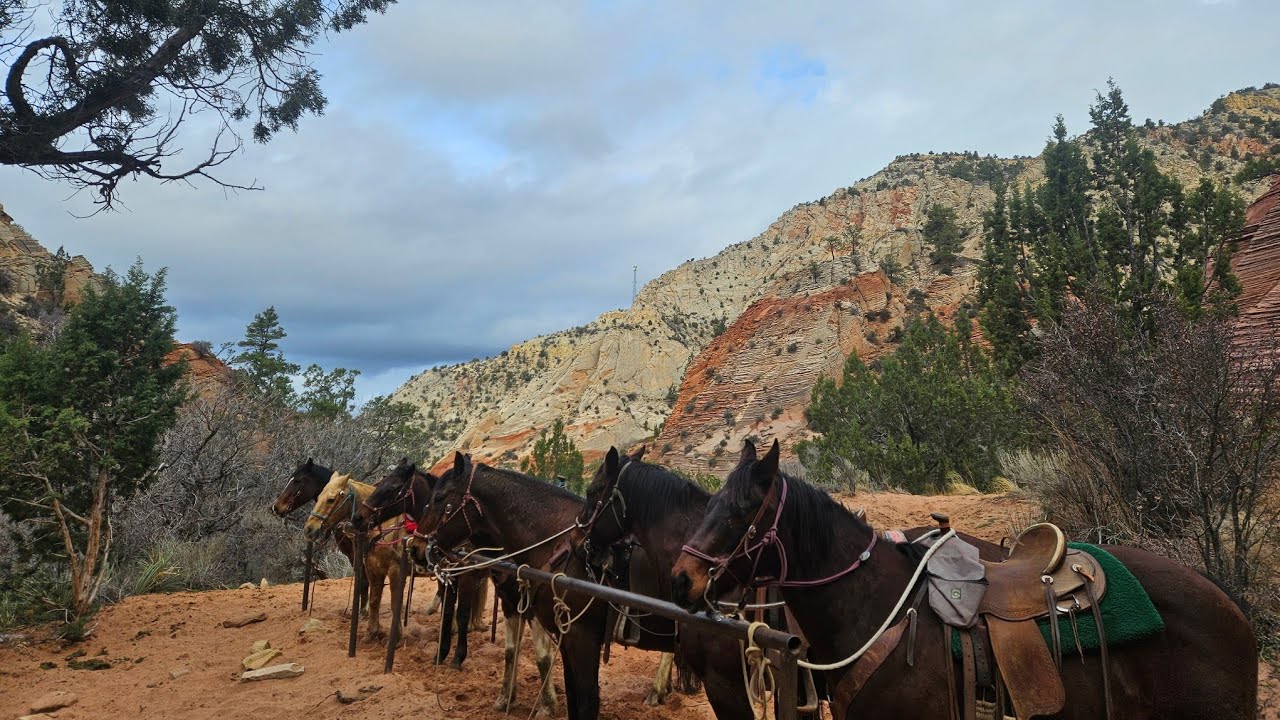 Zion National Park - Horseback Ride - Helicopter Flight