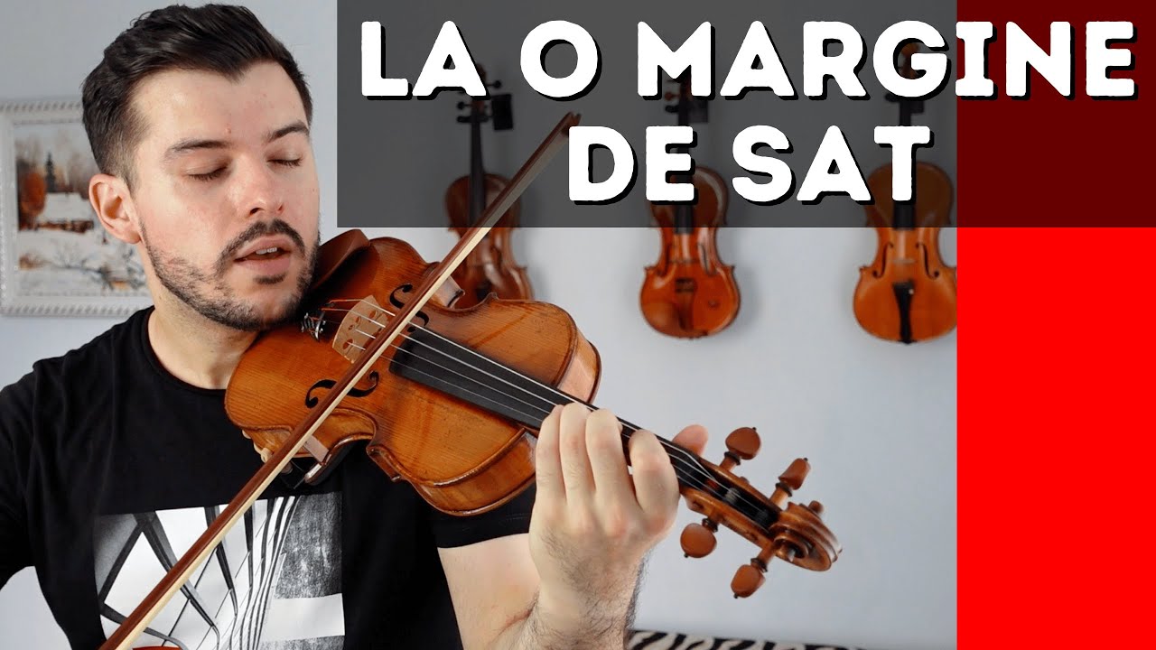 LA O MARGINE DE SAT...