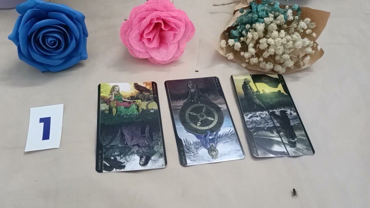 Tarrot:🍀🍀HỌ VÀ NGƯỜI THỨ BA ĐANG RA SAO?
