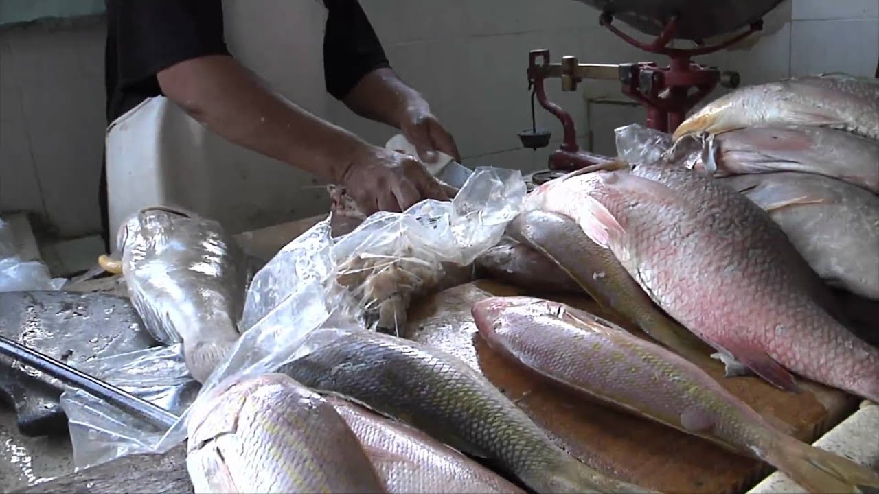 In The Yucatan: Food - Shopping in the Central Mercado