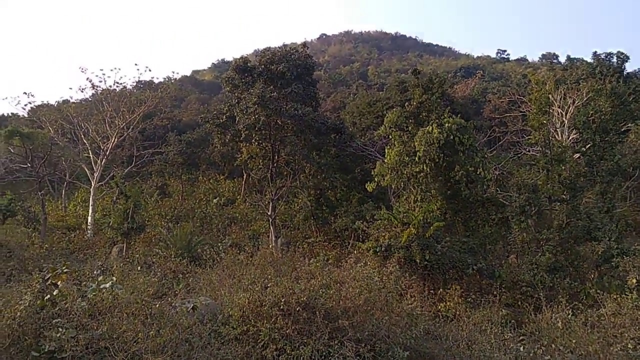 Baranti Hill Muradi