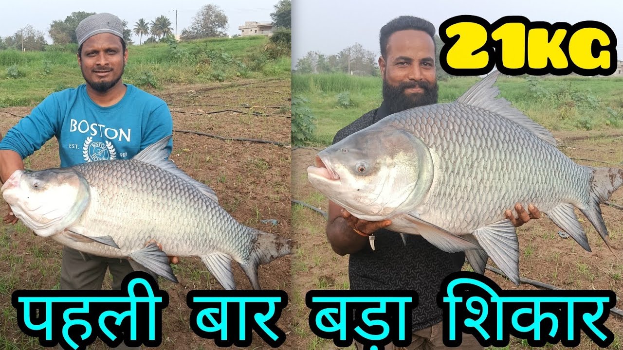  ठंड के मौसम में पहली बार बड़ा शिकार