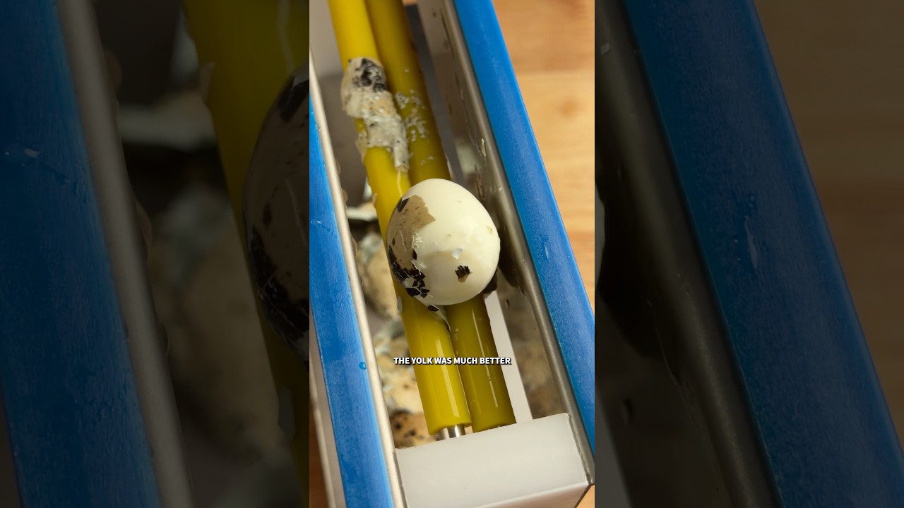 Quail Egg Peeler Test #2