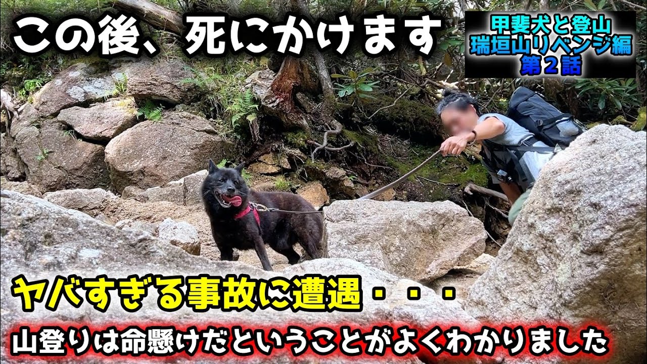 【衝撃】甲斐犬と山登りしてたら、とんでも無い事故に遭遇【甲斐犬と登山：瑞牆山リベンジ編　第２話】