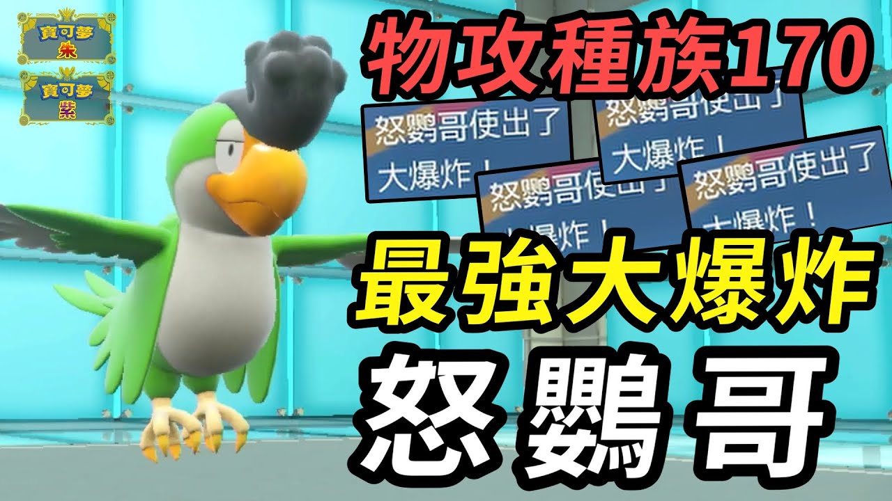 【寶可夢朱紫】神獸級170物攻種族的最強大爆炸 來自“最弱”家門鳥的憤怒  怒鸚哥  #寶可夢 #寶可夢朱紫 #藍之圓盤 #寶可夢對戰系列 #230