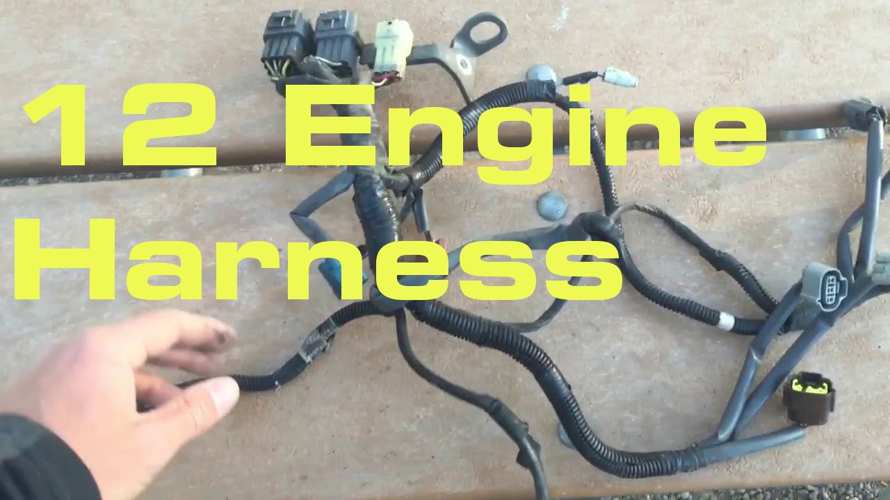 12. Engine Wiring Harness - Wiring Harness Series