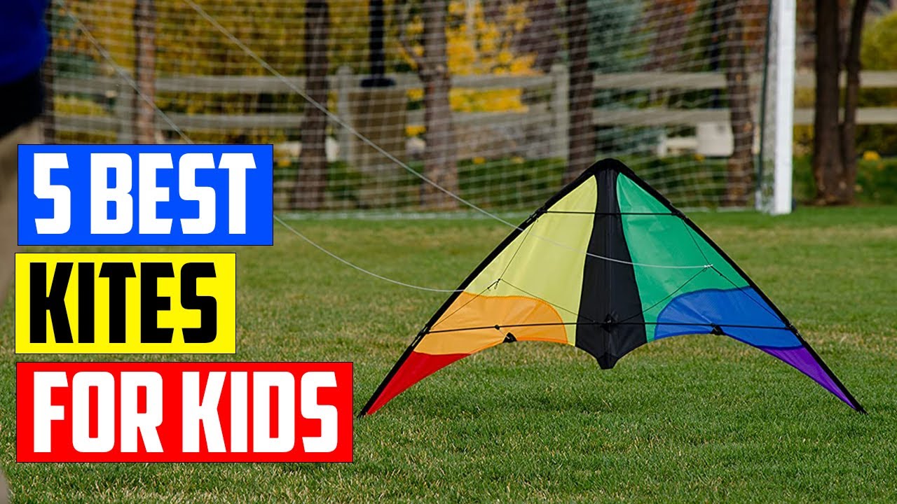 Best Kites of 2023 [Top 5 Picks]