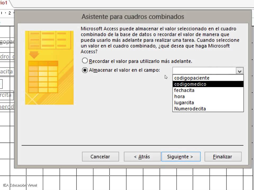 Access 2013 Cuadro Combinado Adicionales