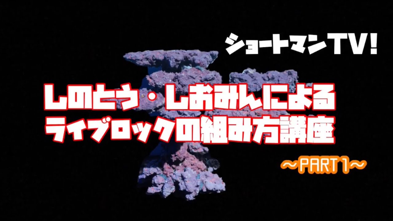 しのとう・しおみんによるライブロックの組み方講座！実践編！ショートマンTV!